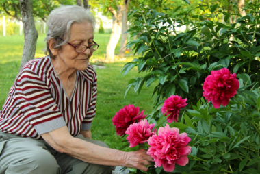 Healthy Hobbies for Retirees